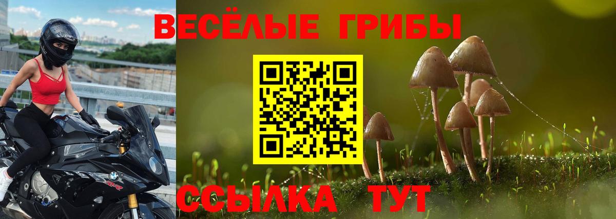 Галлюциногенные грибы мухоморы  цены   Дубна  Вход с VPN 