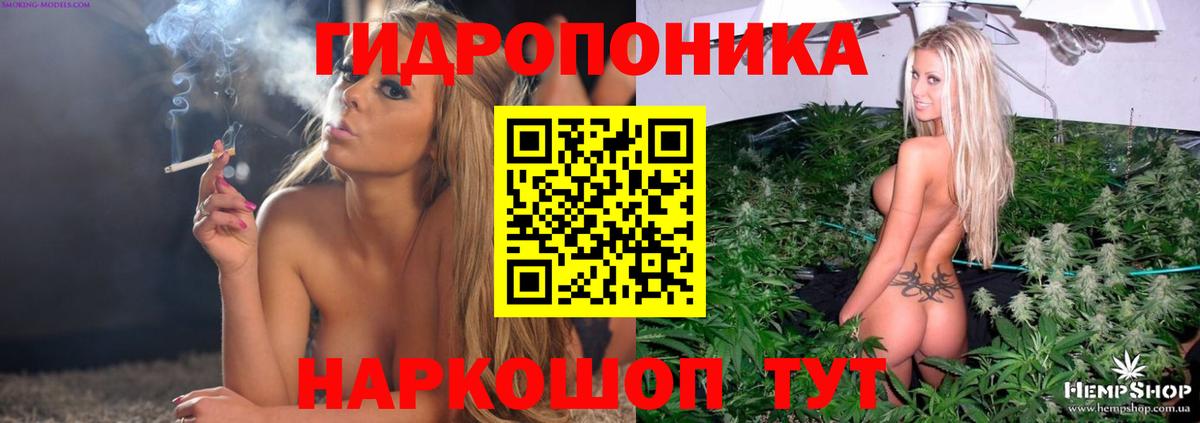 Марихуана конопля Дубна